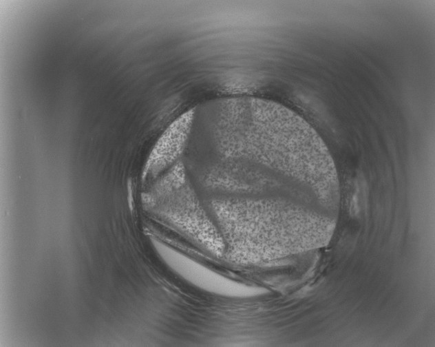 X0000055970075200509162209