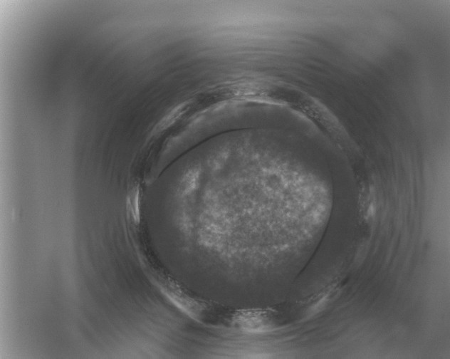 X0000055970076200509162209