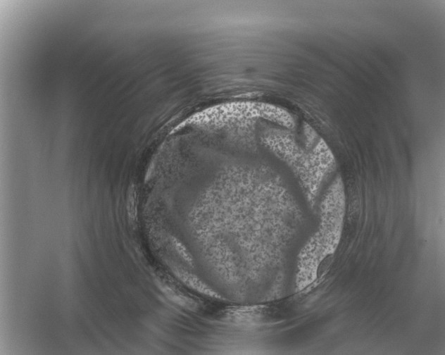 X0000055970078200509162209