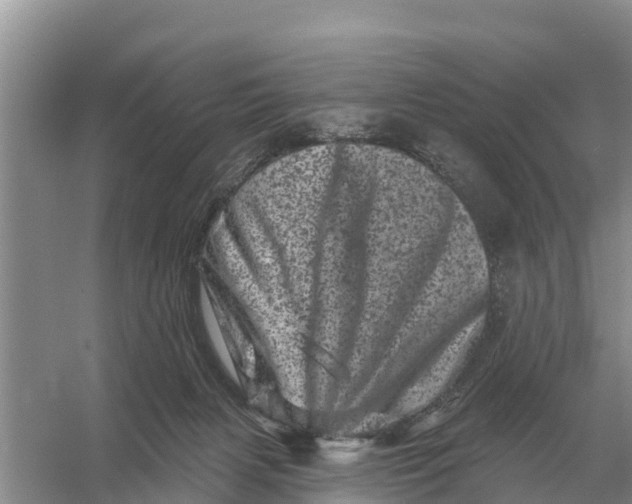 X0000055970079200509162209