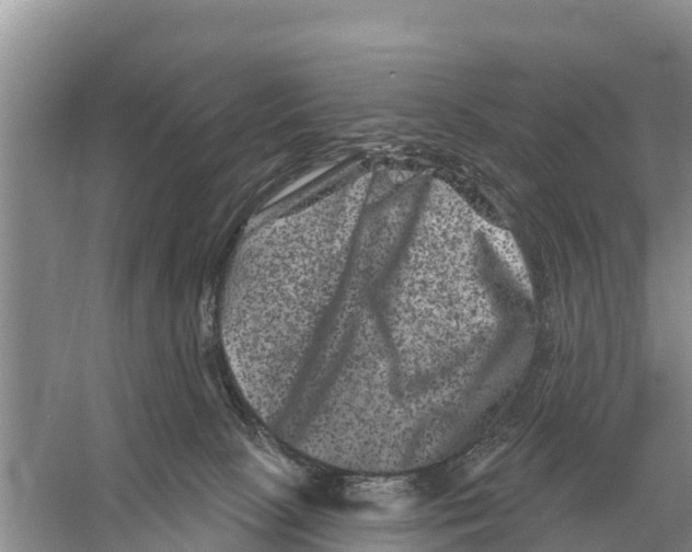 X0000055970081200509162209