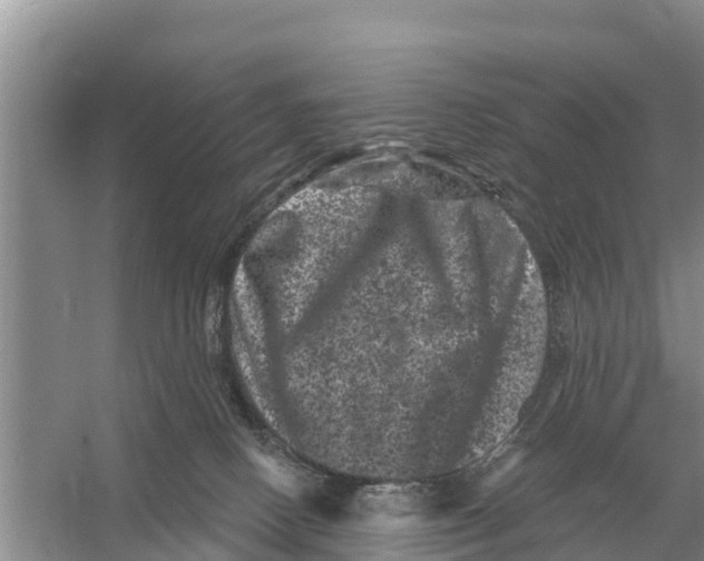 X0000055970082200509162209