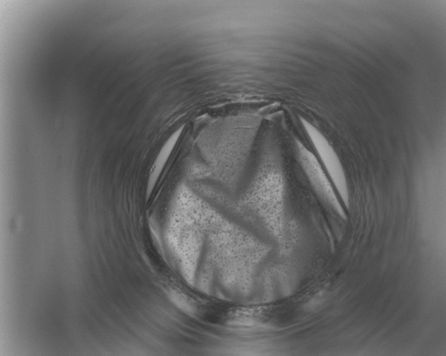 X0000055970084200509162209