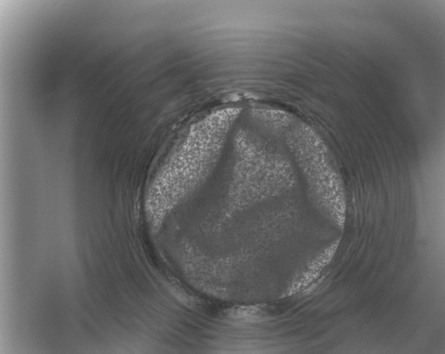 X0000055970086200509162210