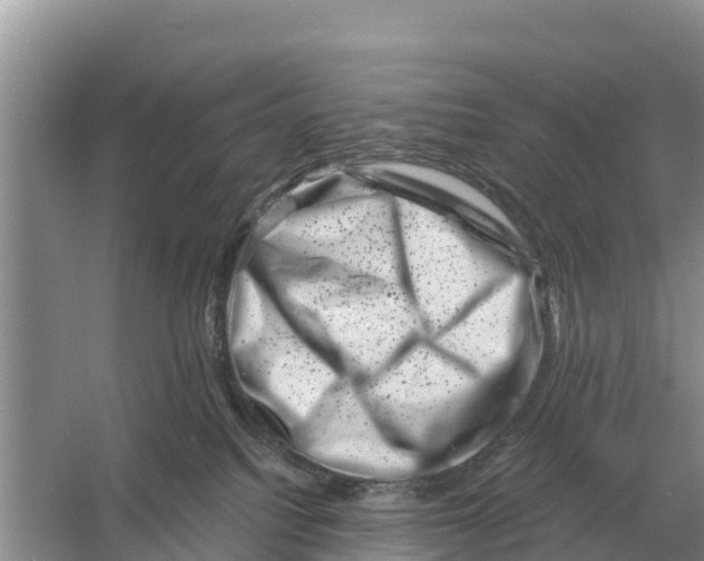 X0000055970088200509162210