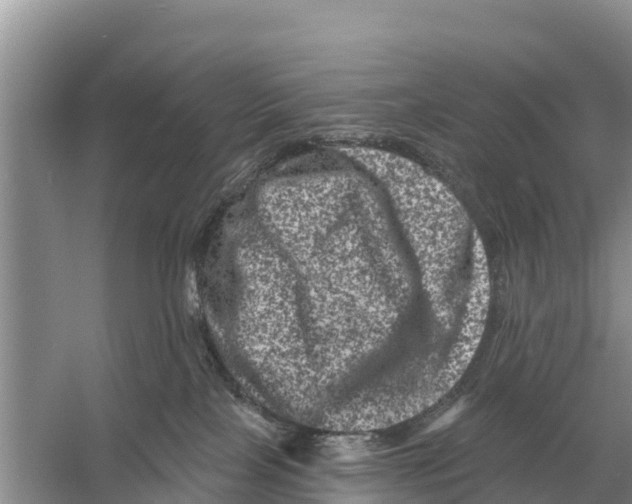 X0000055970089200509162210