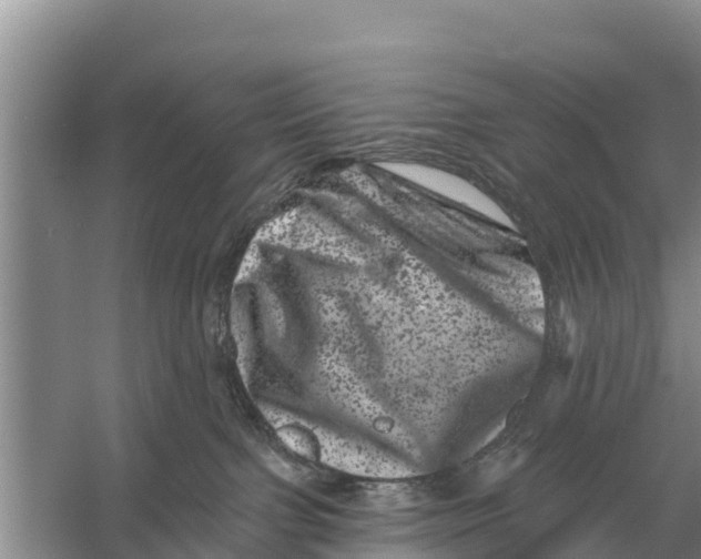 X0000055970091200509162210