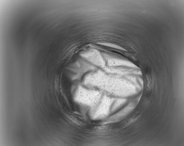 X0000055970092200509162210