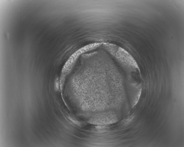 X0000055970095200509162210