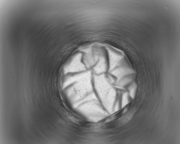 X0000055970096200509162210