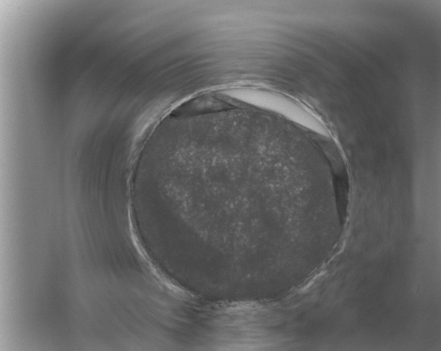 X0000055970097200509162209