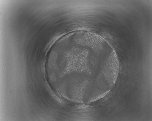 X0000055970098200509162209