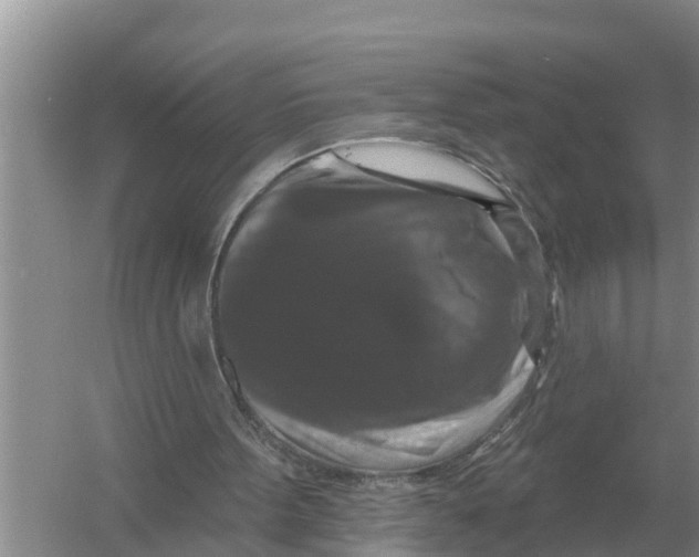 X0000055970099200509162209