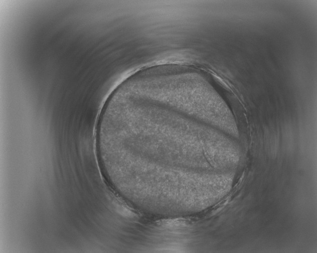 X0000055970100200509162209