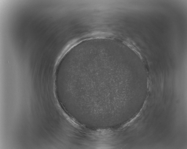 X0000055970101200509162209