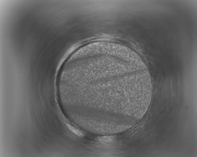 X0000055970102200509162209