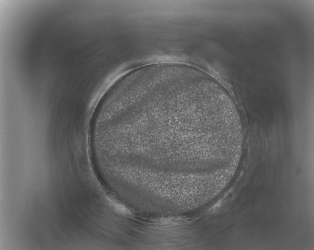 X0000055970103200509162209