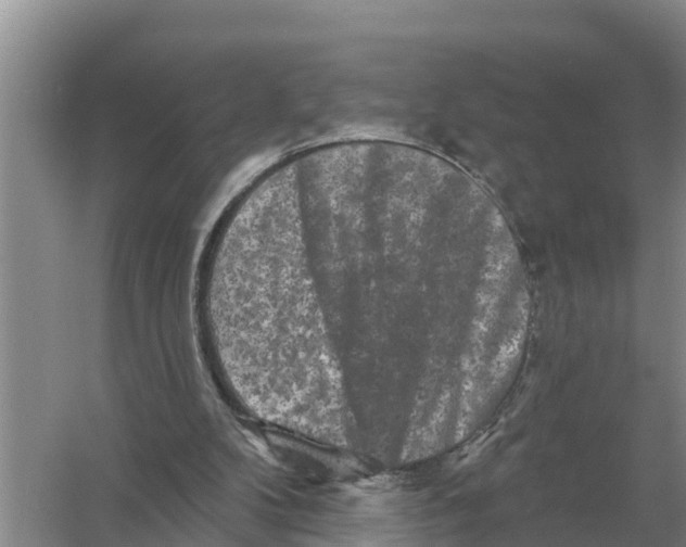 X0000055970104200509162209