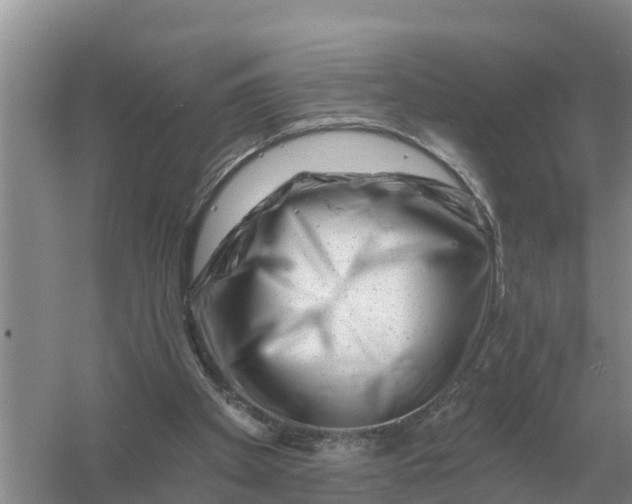 X0000055970105200509162209