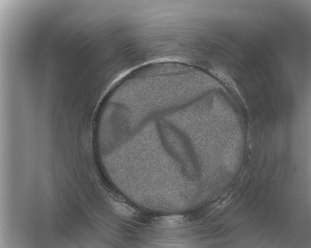 X0000055970108200509162209