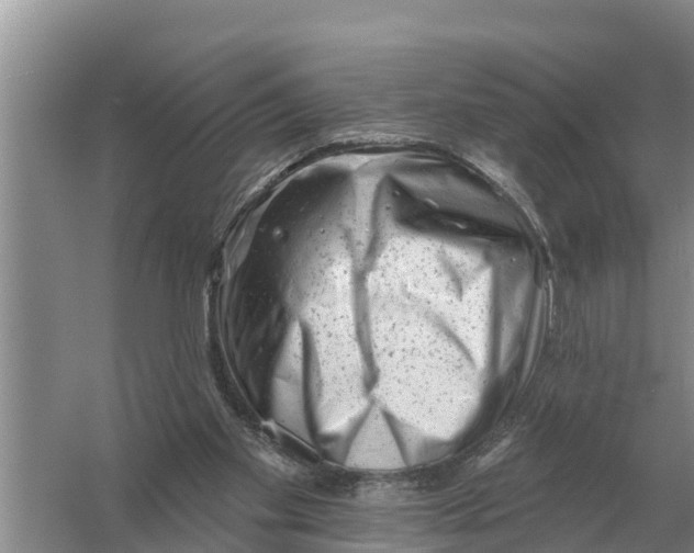 X0000055970109200509162209