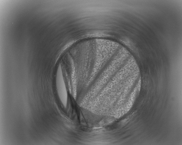 X0000055970111200509162209