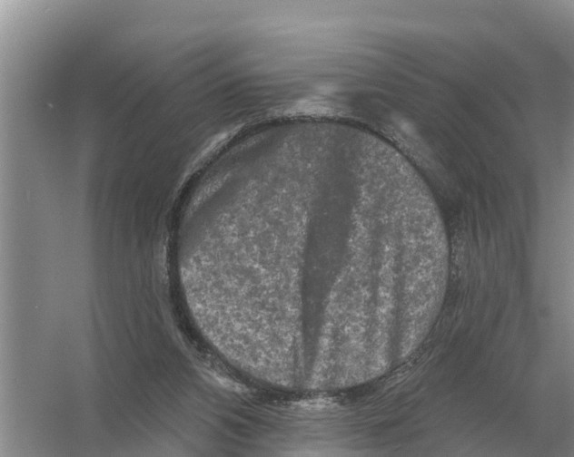 X0000055970112200509162209