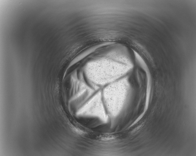 X0000055970113200509162209