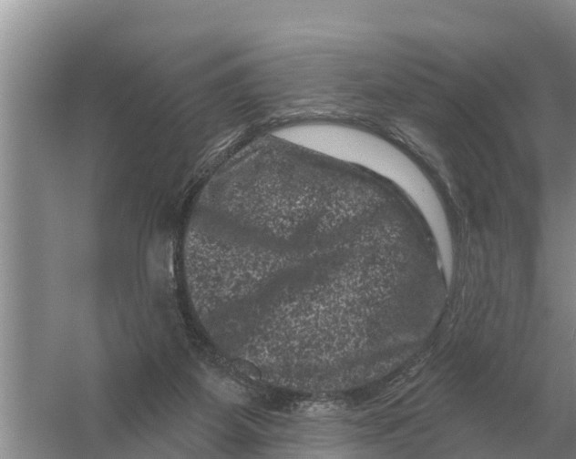 X0000055970115200509162209