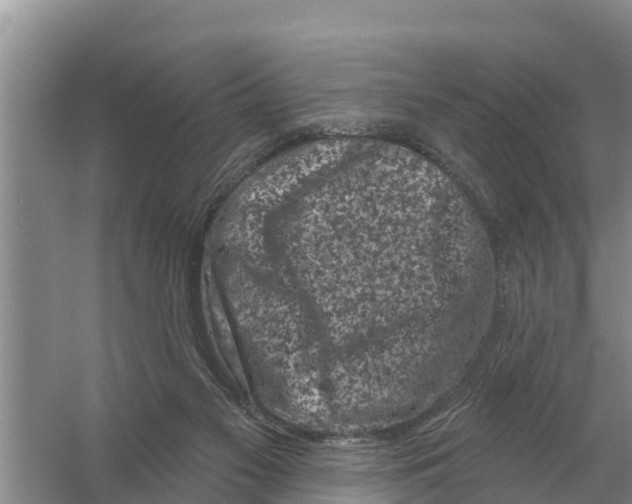 X0000055970117200509162209