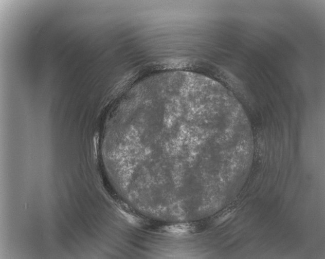 X0000055970118200509162208