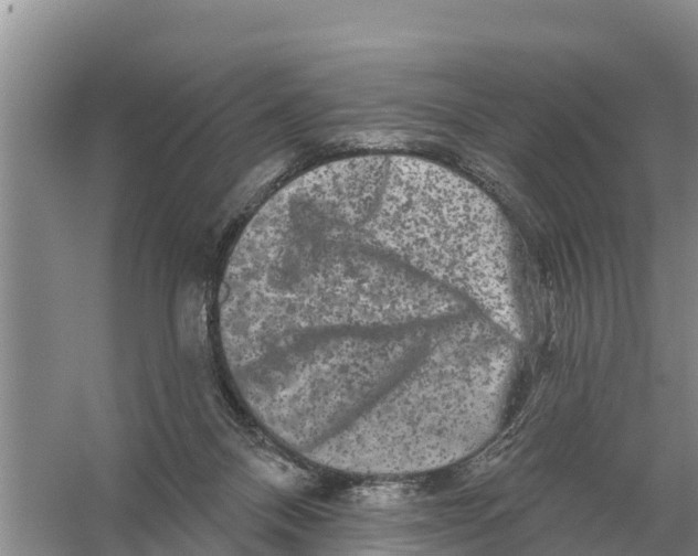 X0000055970120200509162208