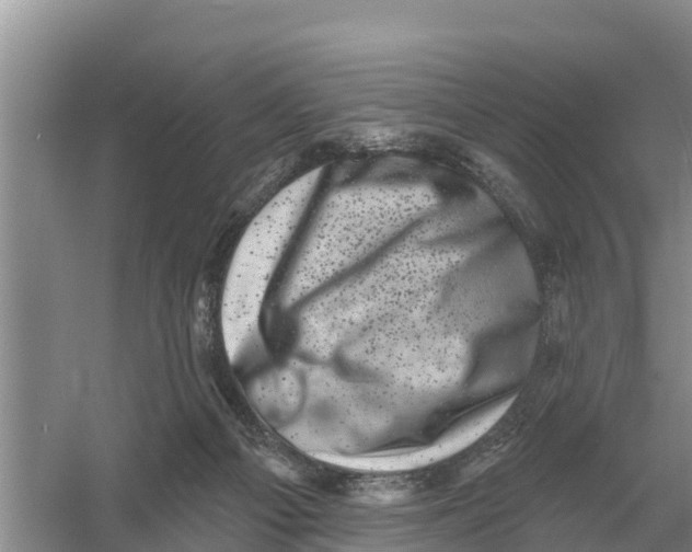 X0000055970121200509162208