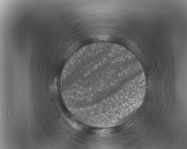 X0000055970122200509162208