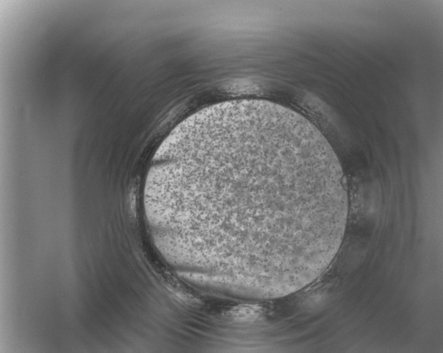 X0000055970124200509162208