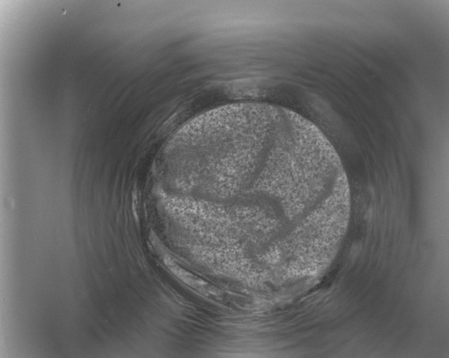 X0000055970125200509162208