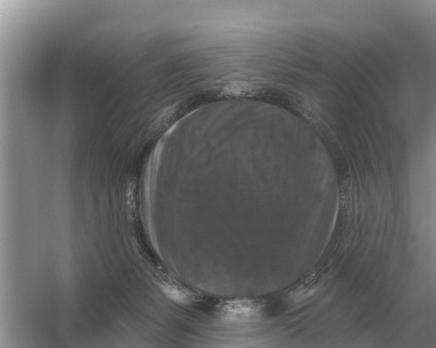 X0000055970127200509162208