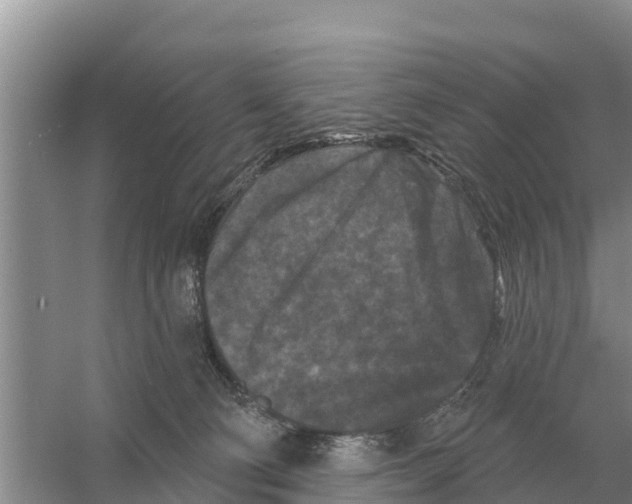 X0000055970130200509162208