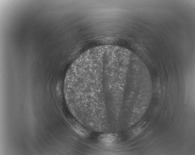 X0000055970131200509162208