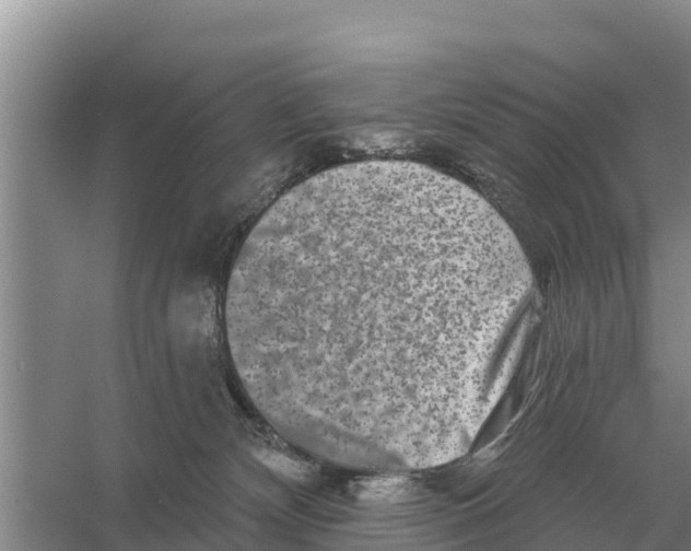 X0000055970132200509162208