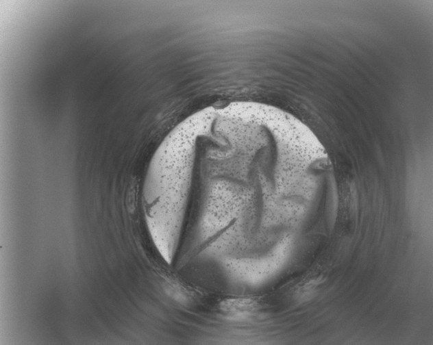 X0000055970133200509162208