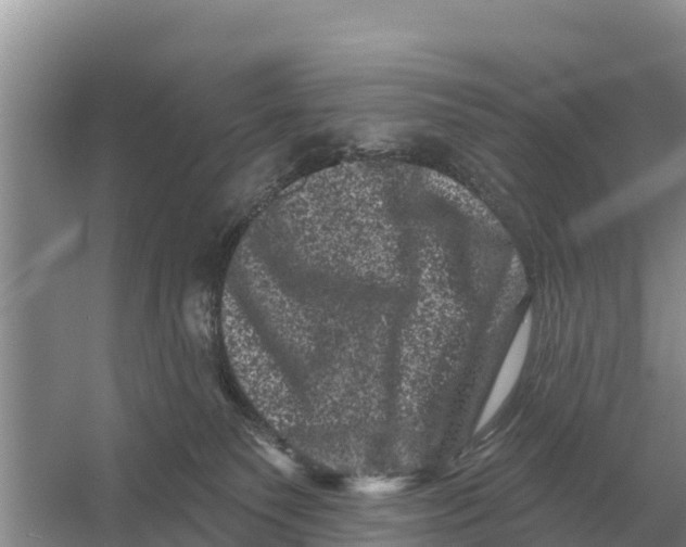 X0000055970135200509162208