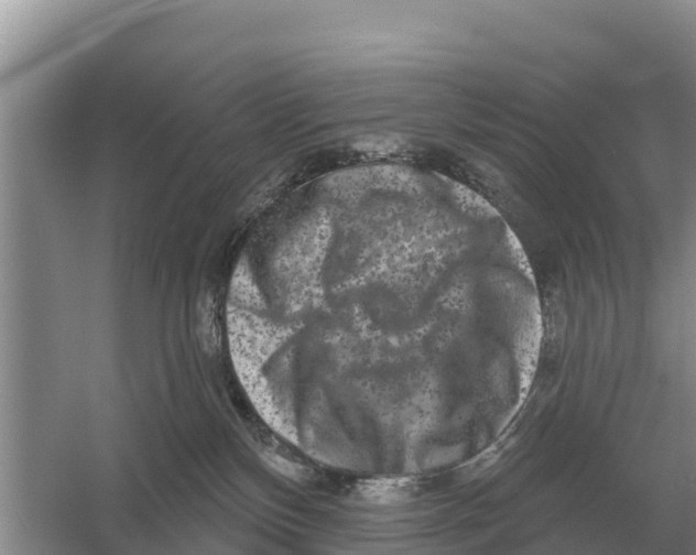 X0000055970136200509162208