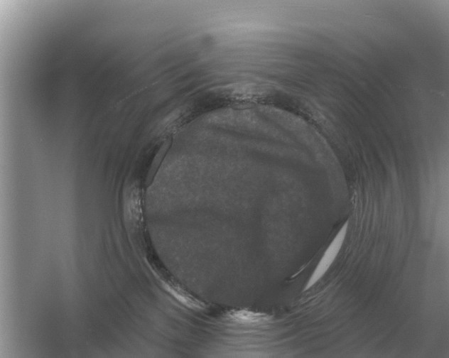 X0000055970137200509162208