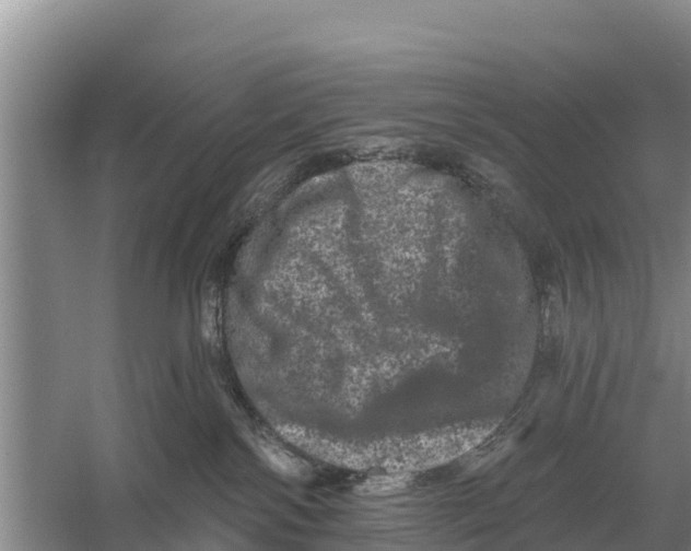 X0000055970138200509162208