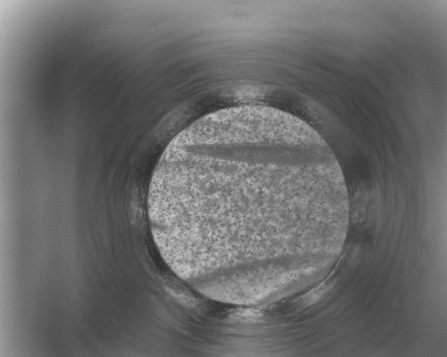 X0000055970140200509162208