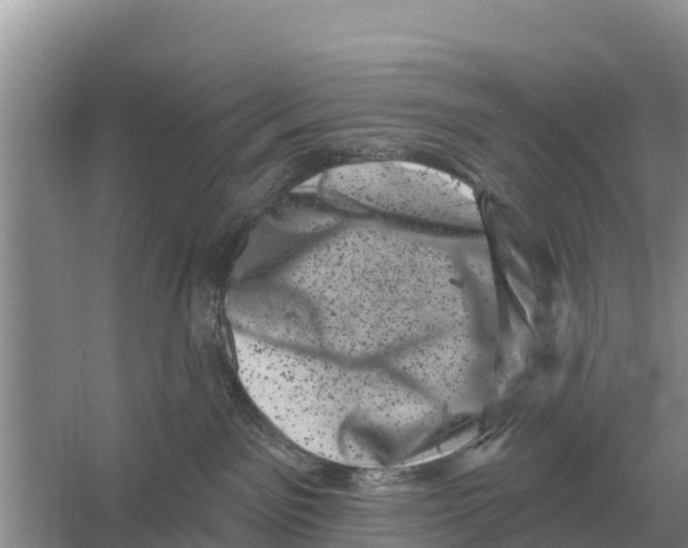 X0000055970141200509162208