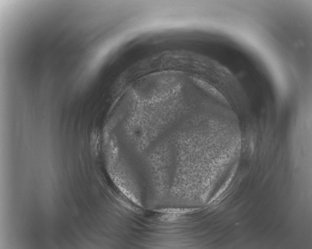 X0000055970142200509162208