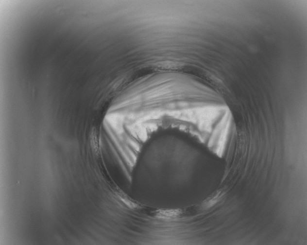 X0000055970143200509162208