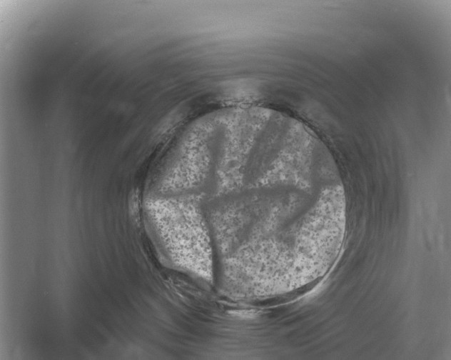 X0000055970144200509162208